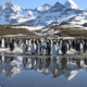 Image for article titled American broadcasts of Frozen Planet will include controversial climate change episode